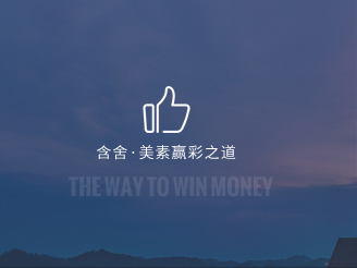 中高档酒店加盟嬴彩之道